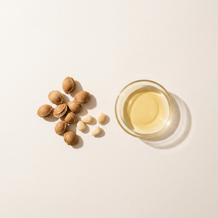 Apricot Kernel: apricot pits and pale apricot kernels, beside a small glass dish of the oil.