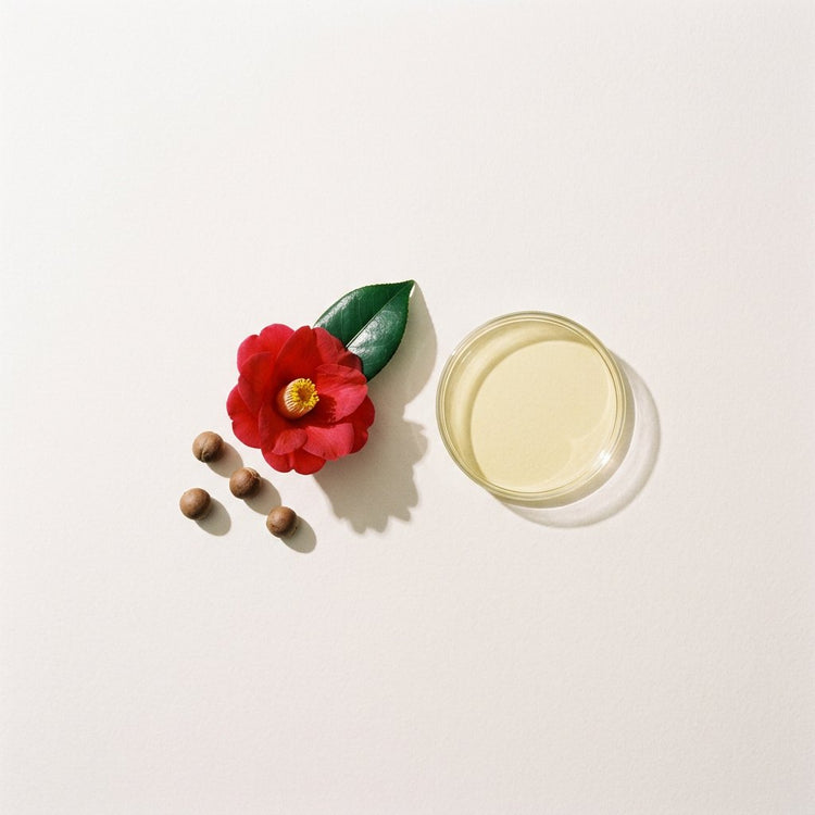 Camellia (Tsubaki): a red camellia flower, a leaf and camellia seeds, beside a small glass dish of the oil.