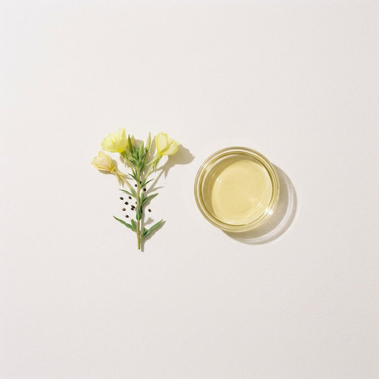 Evening Primrose: yellow evening primrose flowers, beside a small glass dish of the oil.