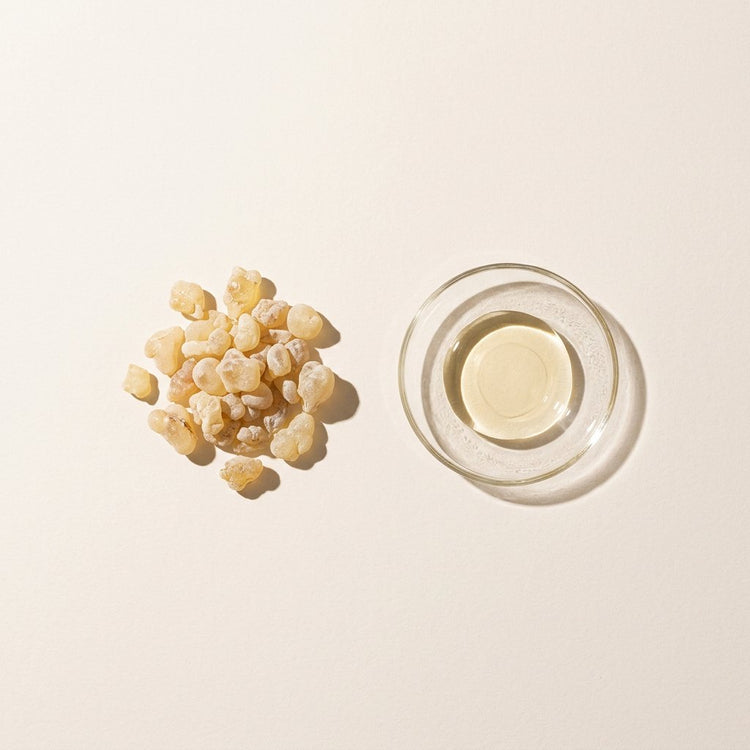 Frankincense: frankincense resin tears, beside a small glass dish of the oil.