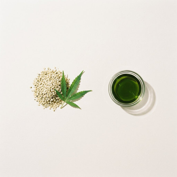 Hemp Seed: hulled hemp seeds and a hemp leaf, beside a small glass dish of the oil.