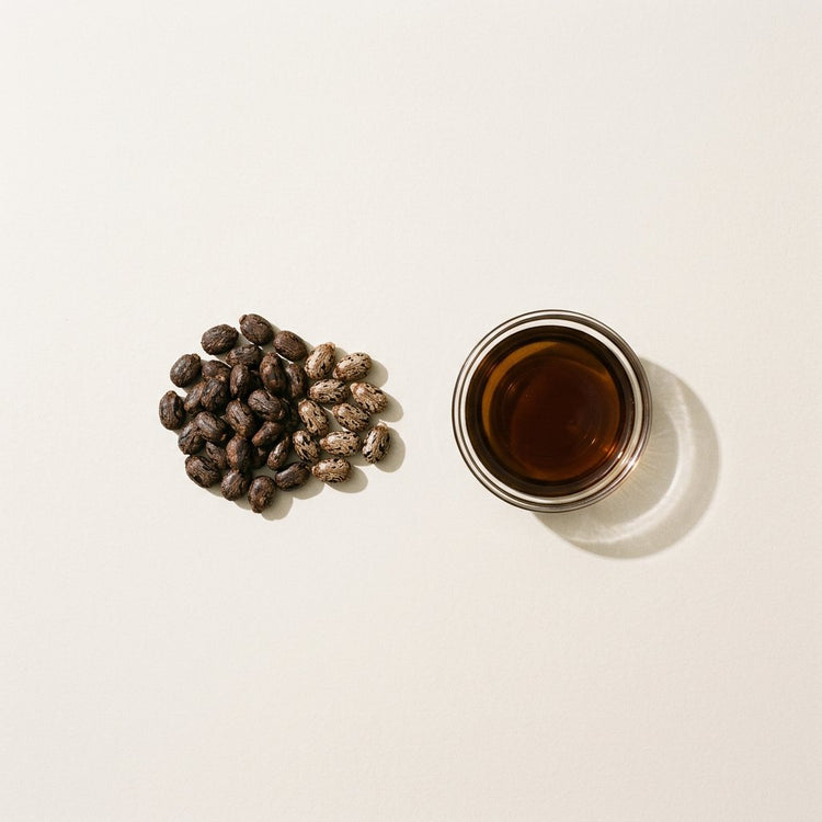 Jamaican Black Castor: roasted and raw castor beans, beside a small glass dish of the oil.