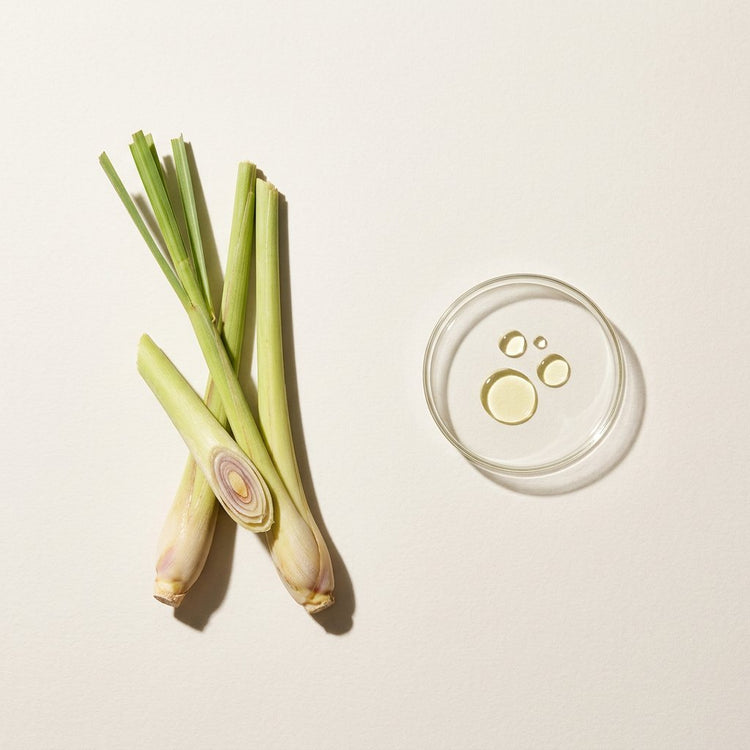 Lemongrass: lemongrass stalks, beside a small glass dish of the oil.