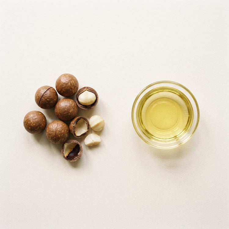 Macadamia: macadamia nuts, two cracked open, beside a small glass dish of the oil.
