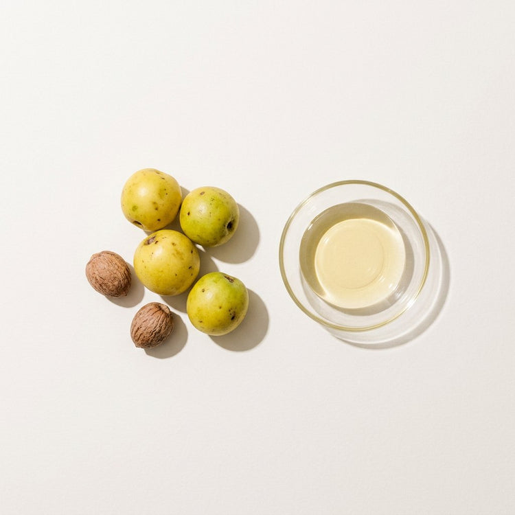Marula: marula fruits and nuts, beside a small glass dish of the oil.