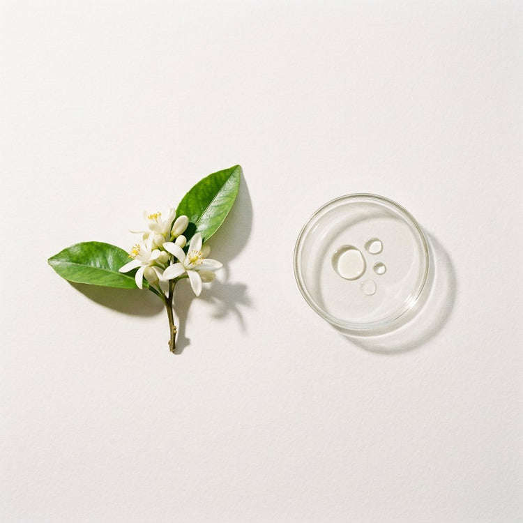 Neroli: white orange blossoms, beside a small glass dish of the oil.