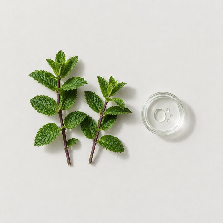 Peppermint: two peppermint sprigs, beside a small glass dish of the oil.