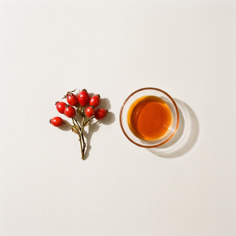 Rosehip: red rosehips on a stem, beside a small glass dish of the oil.