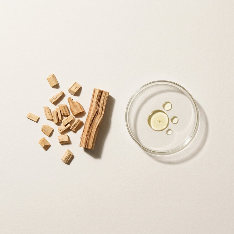 Sandalwood: sandalwood chips and heartwood, beside a small glass dish of the oil.