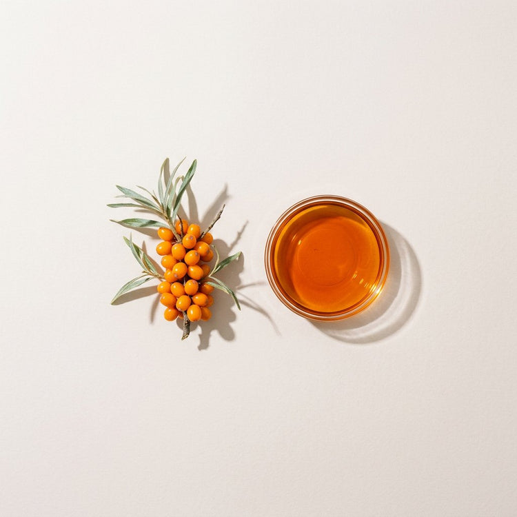 Sea Buckthorn: a sprig of orange sea buckthorn berries, beside a small glass dish of the oil.
