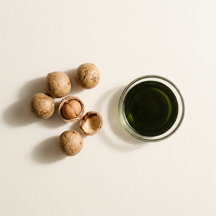 Tamanu: tamanu nuts, one cracked, beside a small glass dish of the oil.